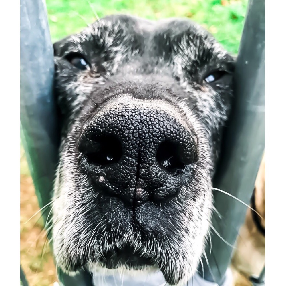 Meet your Posher, Felicity